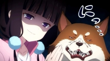 maika_002.jpg