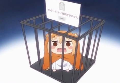 umr_004.jpg